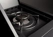 Fogo & Chama Outdoor Stainless Steel Scorpion 6 Burner Gas BBQ